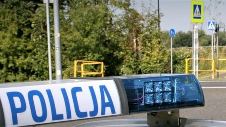 Akcja „Bezpieczny Pieszy”. Policja wystawiła 65 mandatów