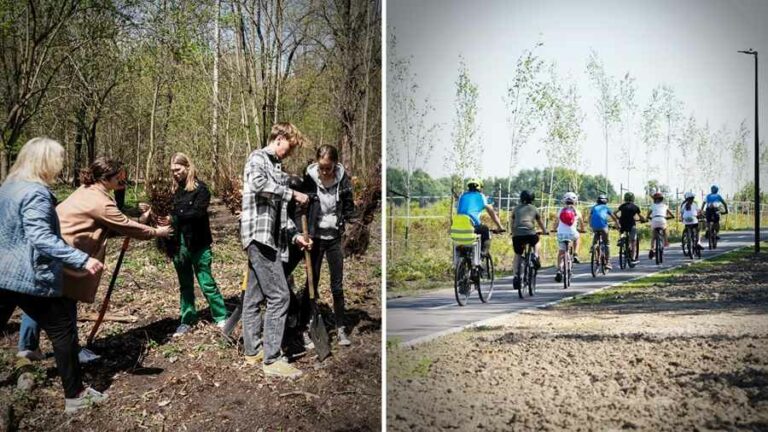 Zabrze z rekordem nasadzeń w rankingu Metropolii GZM