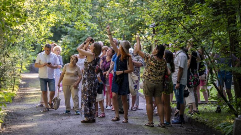 Czytanie poezji, układanie Lego i warsztaty. Weekend w Ogrodzie Botanicznym