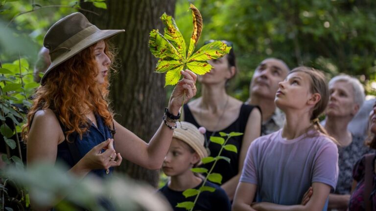 Wyjątkowe otwarcie sezonu w Miejskim Ogrodzie Botanicznym, czyli Botaniczna Scena Premier